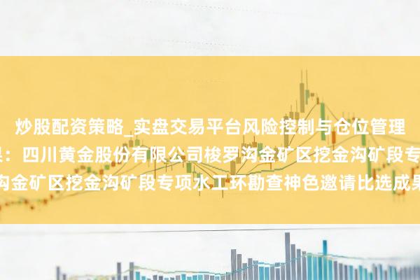 炒股配资策略_实盘交易平台风险控制与仓位管理分析 四川黄金招标成果:四川黄金股份有限公司梭罗沟金矿区挖金沟矿段专项水工环勘查神色邀请比选成果公示
